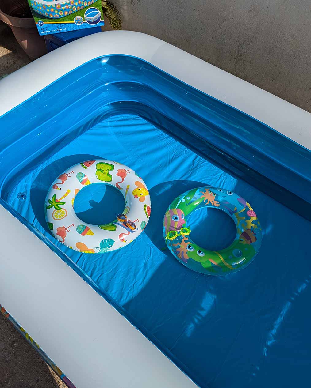 Piscine Gonflable Aquarium Bestway حوض سباحة حجم عائلي + 4 هدايا مجانية