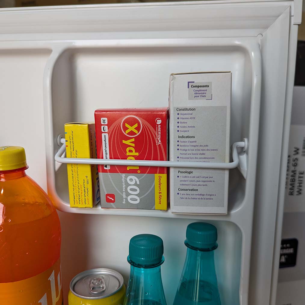 Mini Réfrigérateur RAYLAN MINI BAR 47L من أقوى الثلاجات الصغيرة في الجزائر