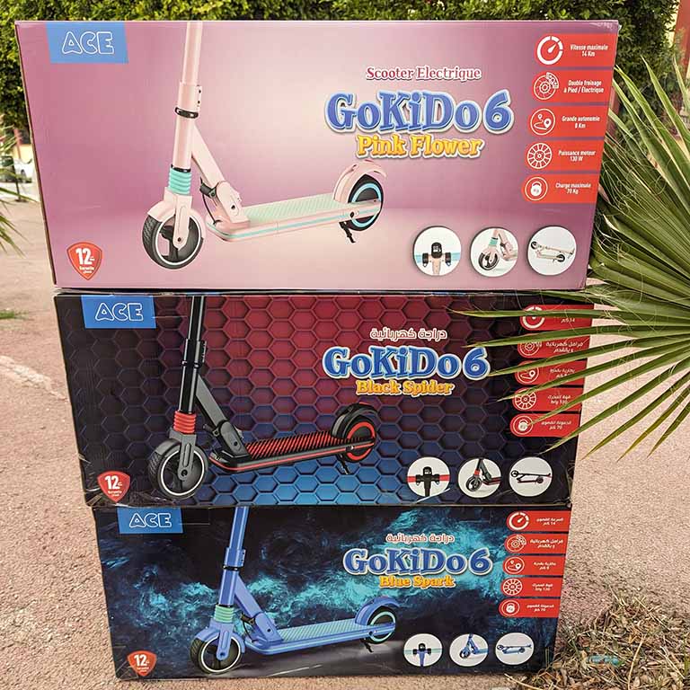 Trottinette Electrique ACE Kids GOKIDS 6 سكوتر كهربائية محمولة مناسبة لجميع الأعمار حتى 18 سنة