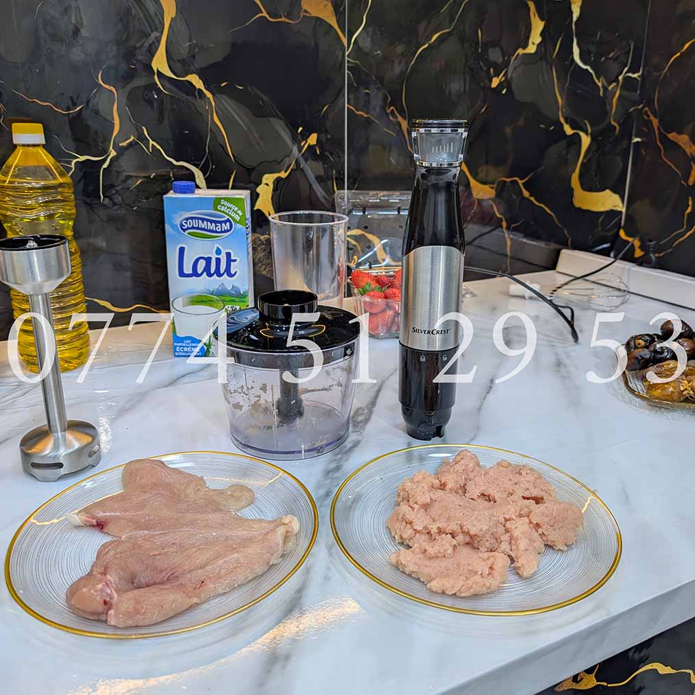 BRAS MIXEUR SILVER CREST 6 EN 1 1000 WATT 5 VITESSE (104)  خلاط واحد متعدد الخدمات ب 6 وظائف بقوة 1000 واط